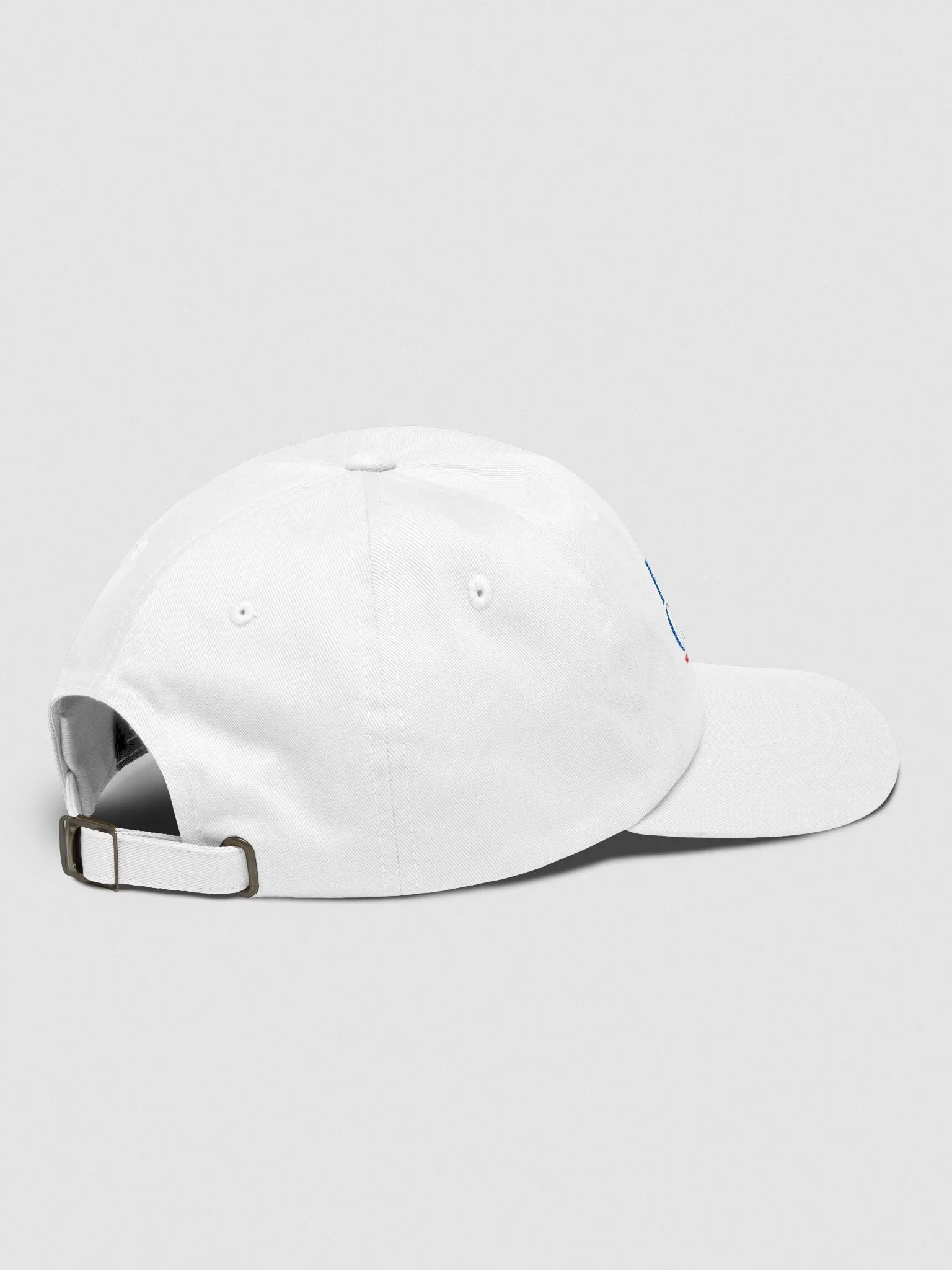 Flatty-Gree 23 Dad Cap product image (3)