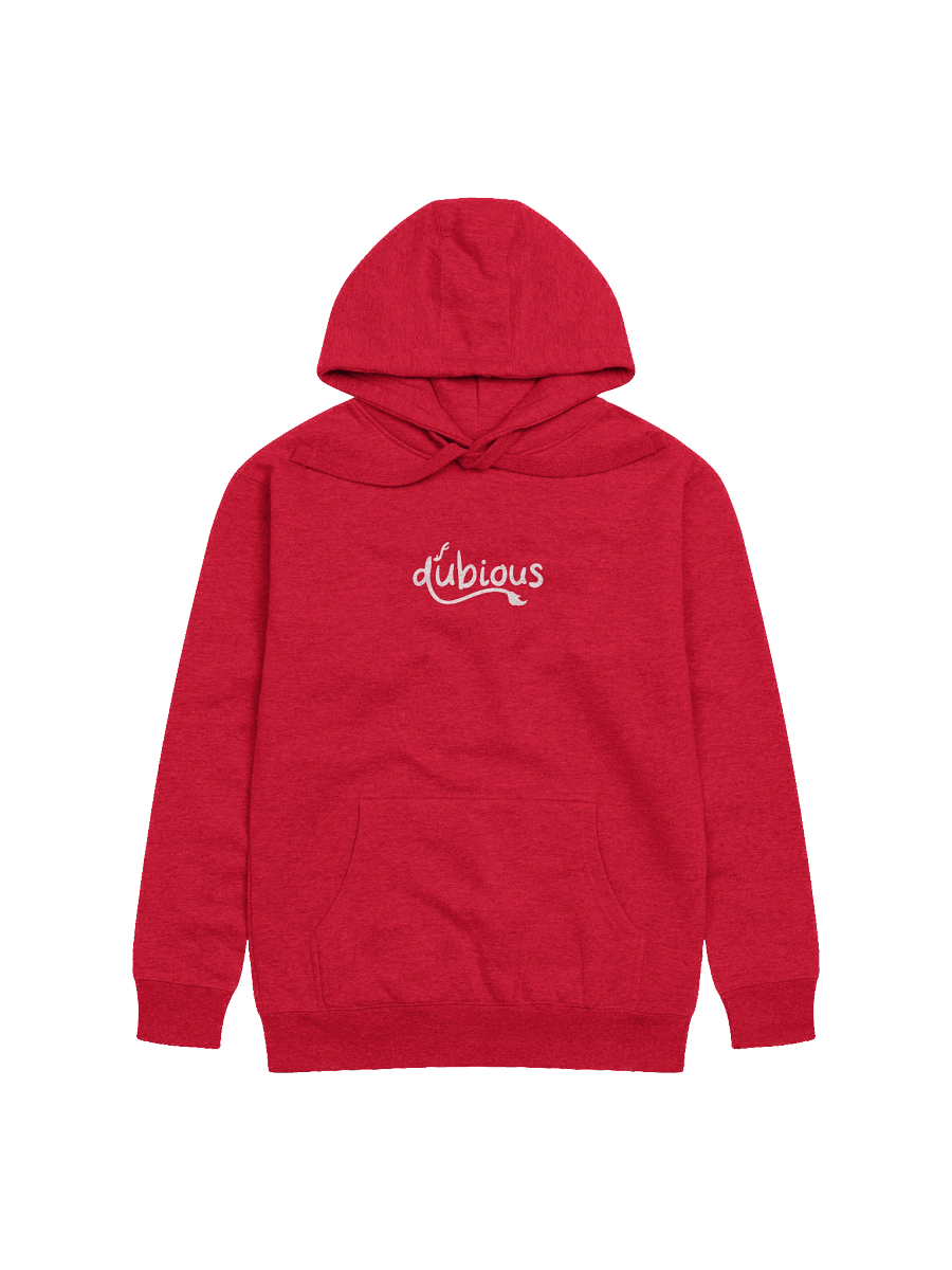 "DUBIOUS" Hoodie product image (2)