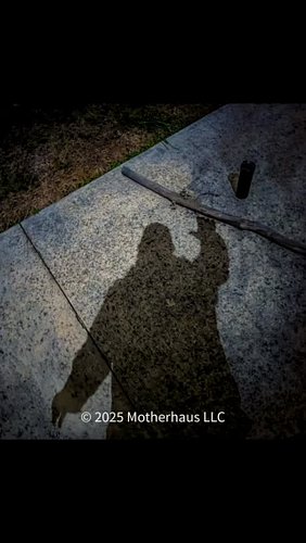 There are bones in the road