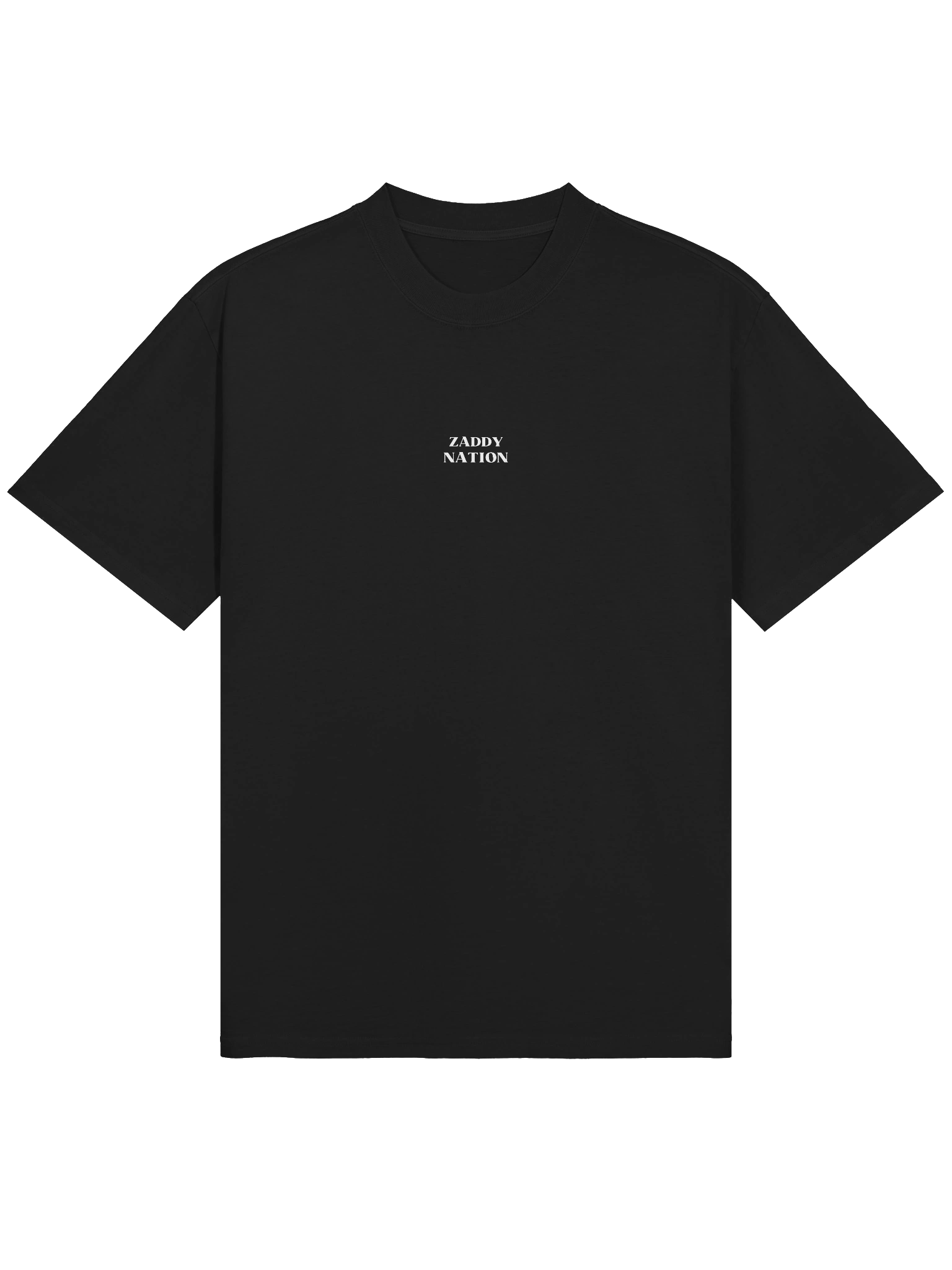 BASIC Z NATION TEE product image (1)