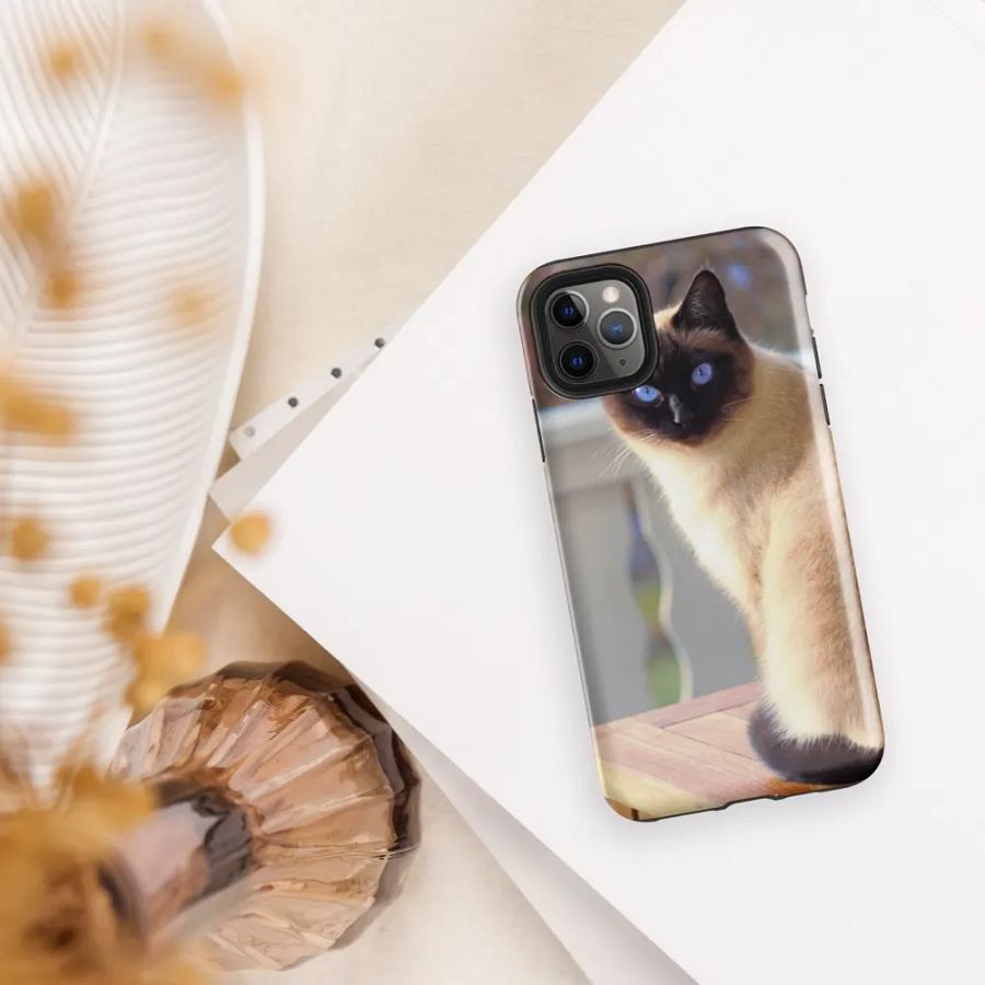 Cat on Front Porch Phone Case for Feline Enthusiasts product image (37)