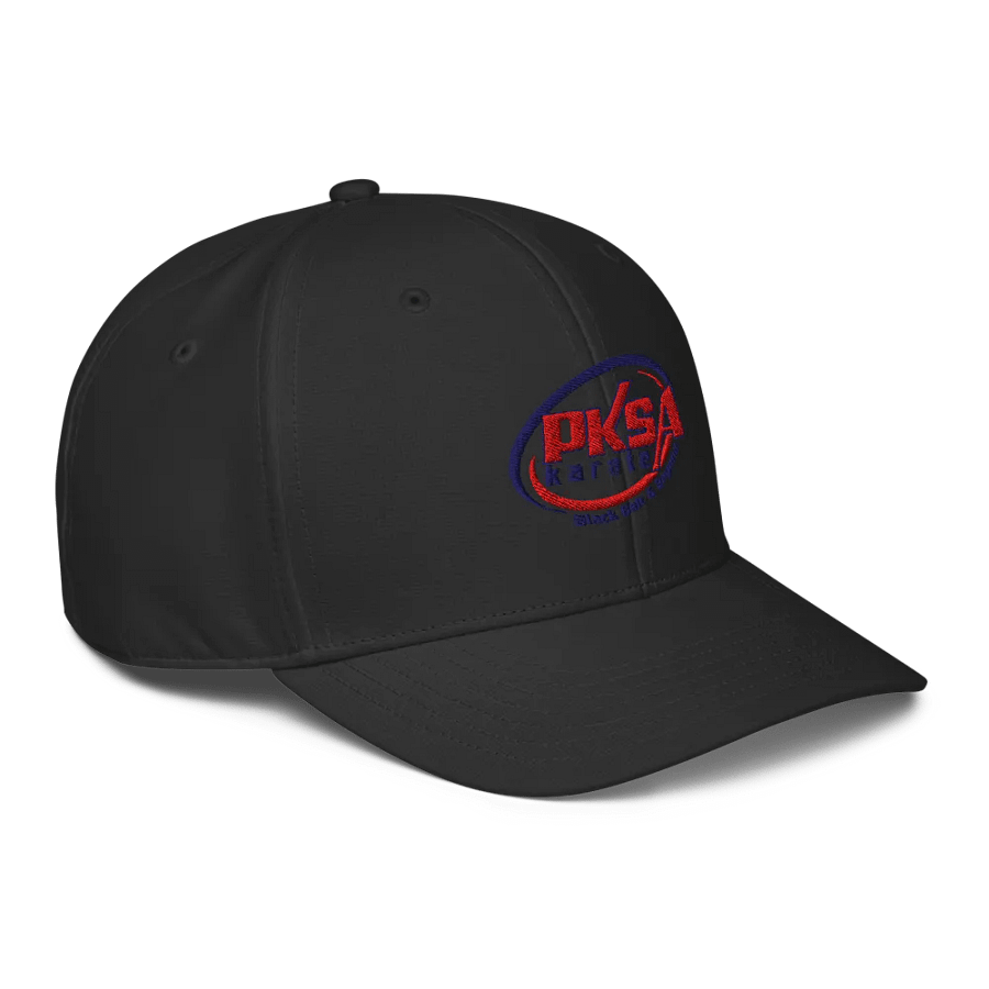 Black Belt & Beyond Adidas Performance Cap product image (3)