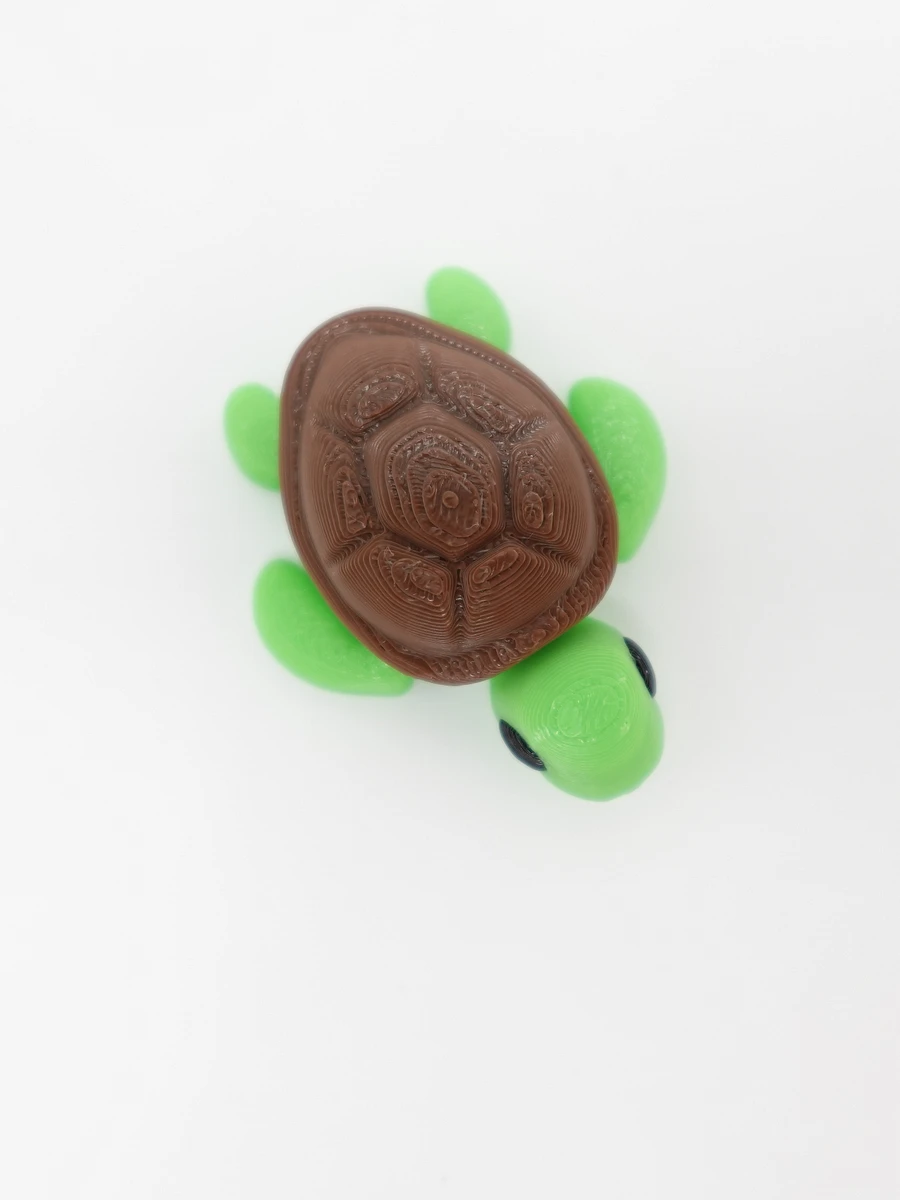 Baby Turtle product image (2)