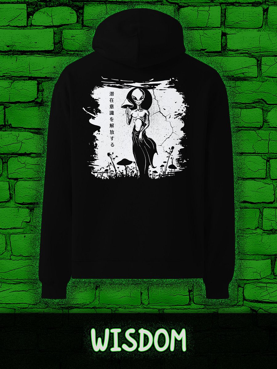 WISDOM Unisex Premium Oversized Hoodie product image (1)