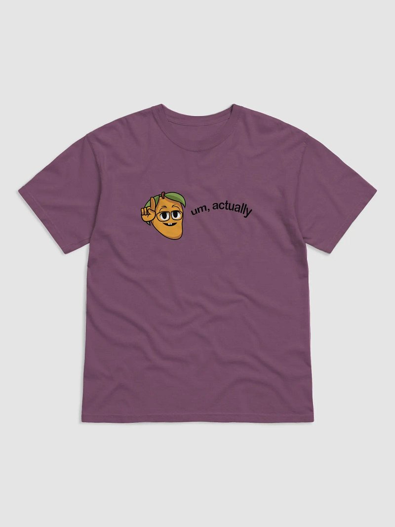 Mangosplaining T-shirt