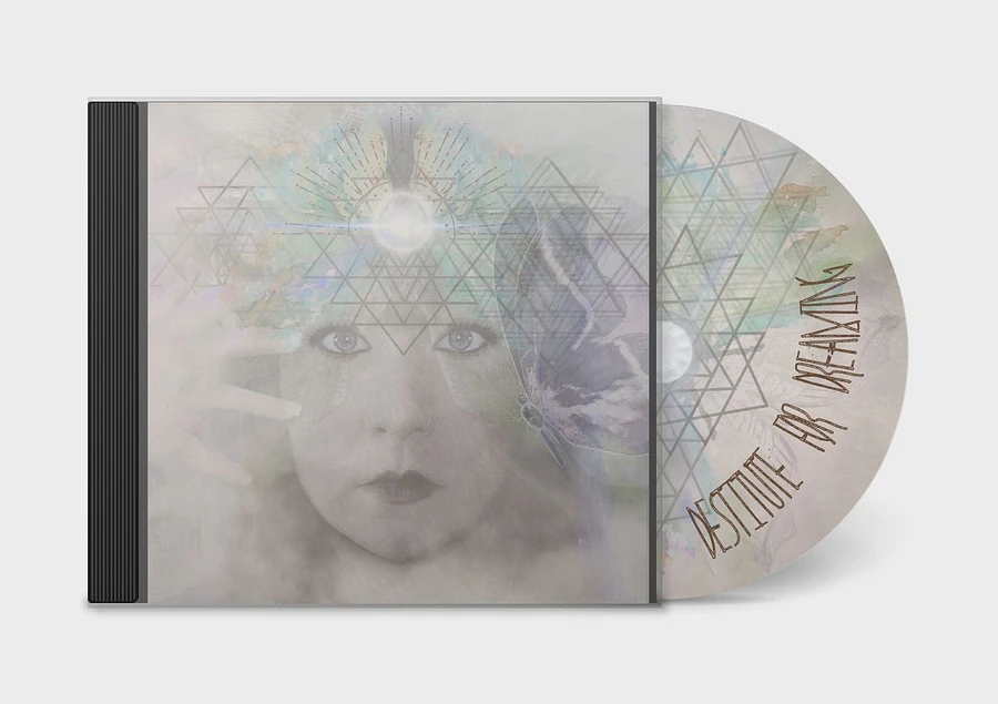 Destitute for Dreaming Limited Edition CD product image (2)