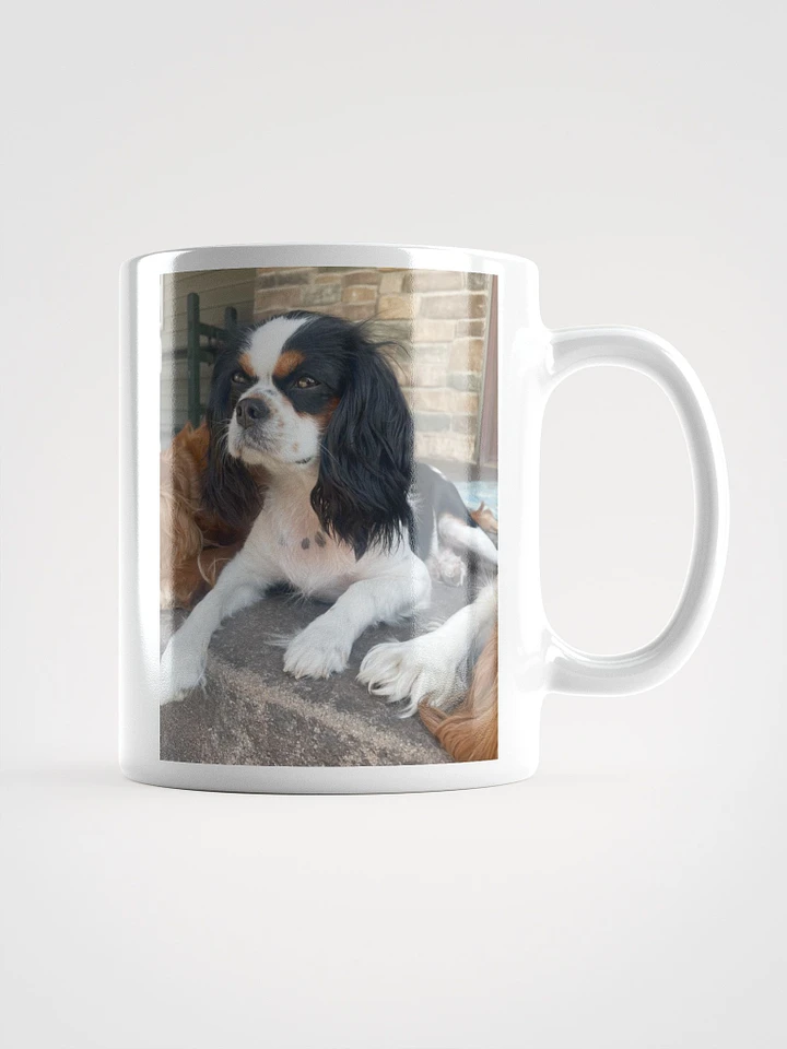 Daisy Doodle Coffee Mug 11oz product image (1)