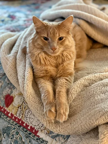 Saturday morning vibes ♥️