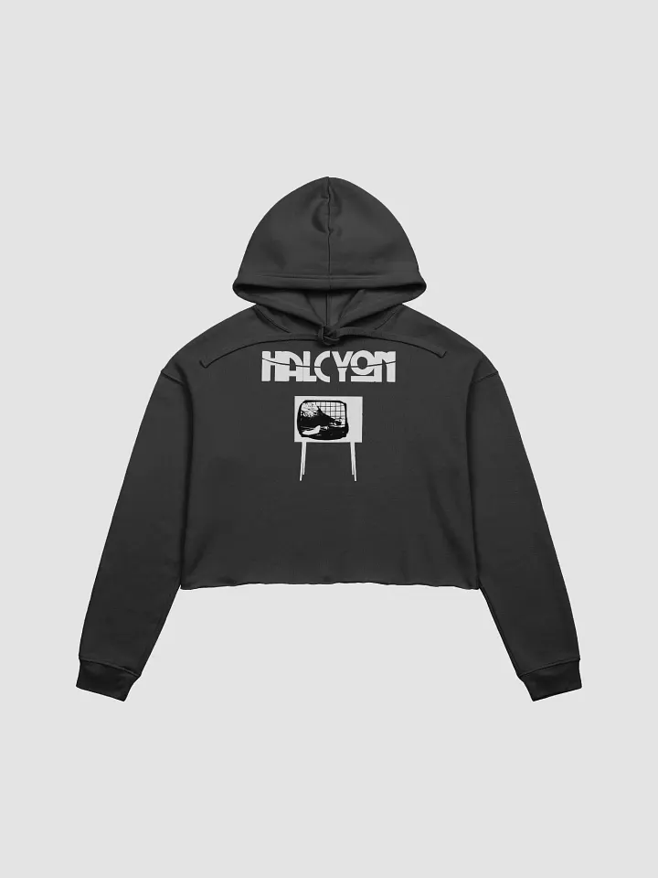 HALCYON Cropped Hoodie product image (1)