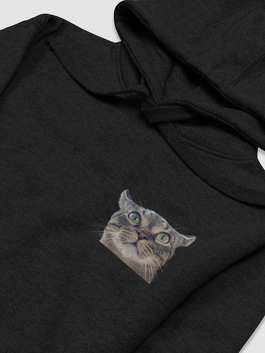 Luke Hoodie product image (3)