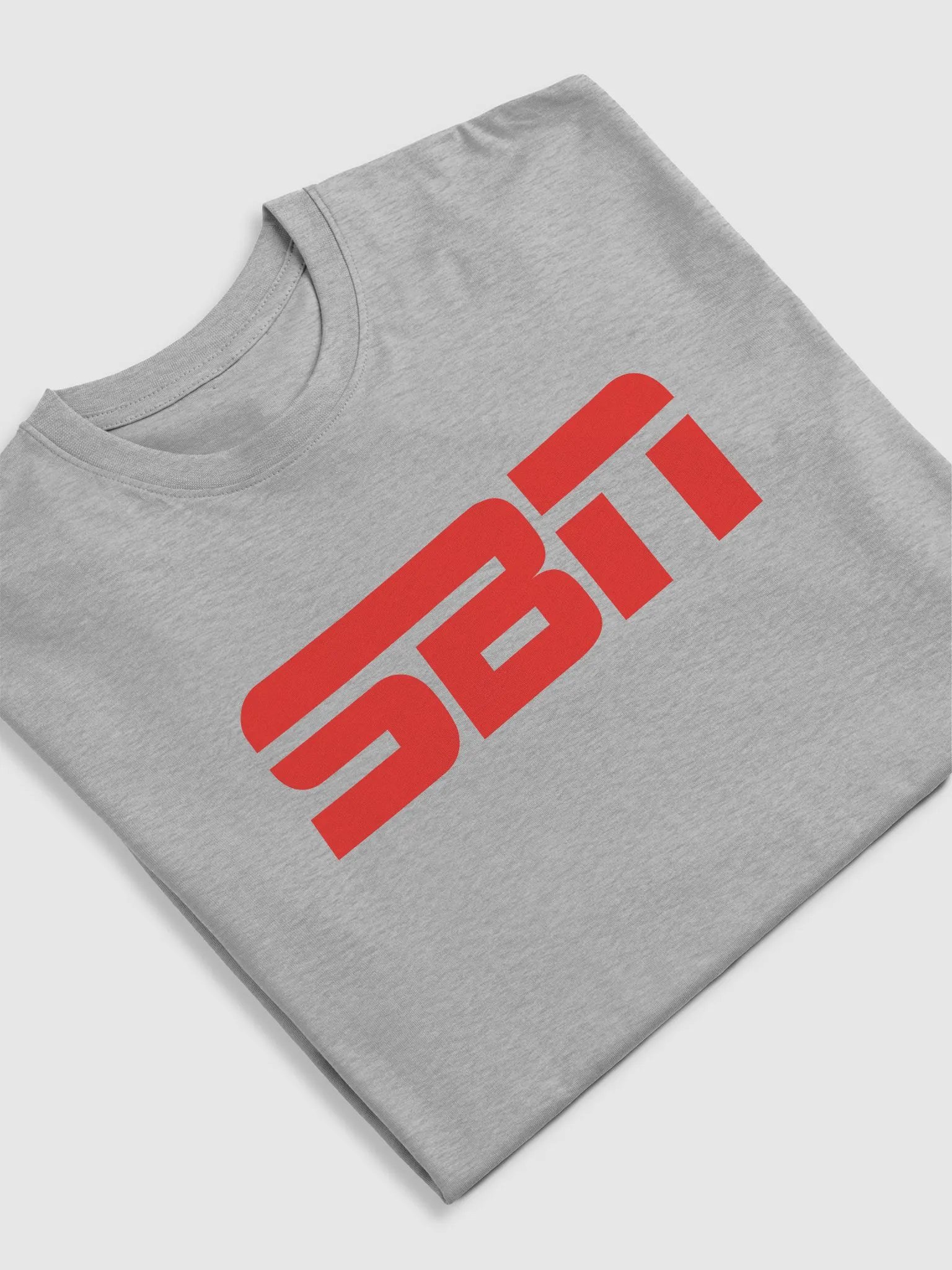 SBN Heavyweight T-Shirt Gray product image (5)