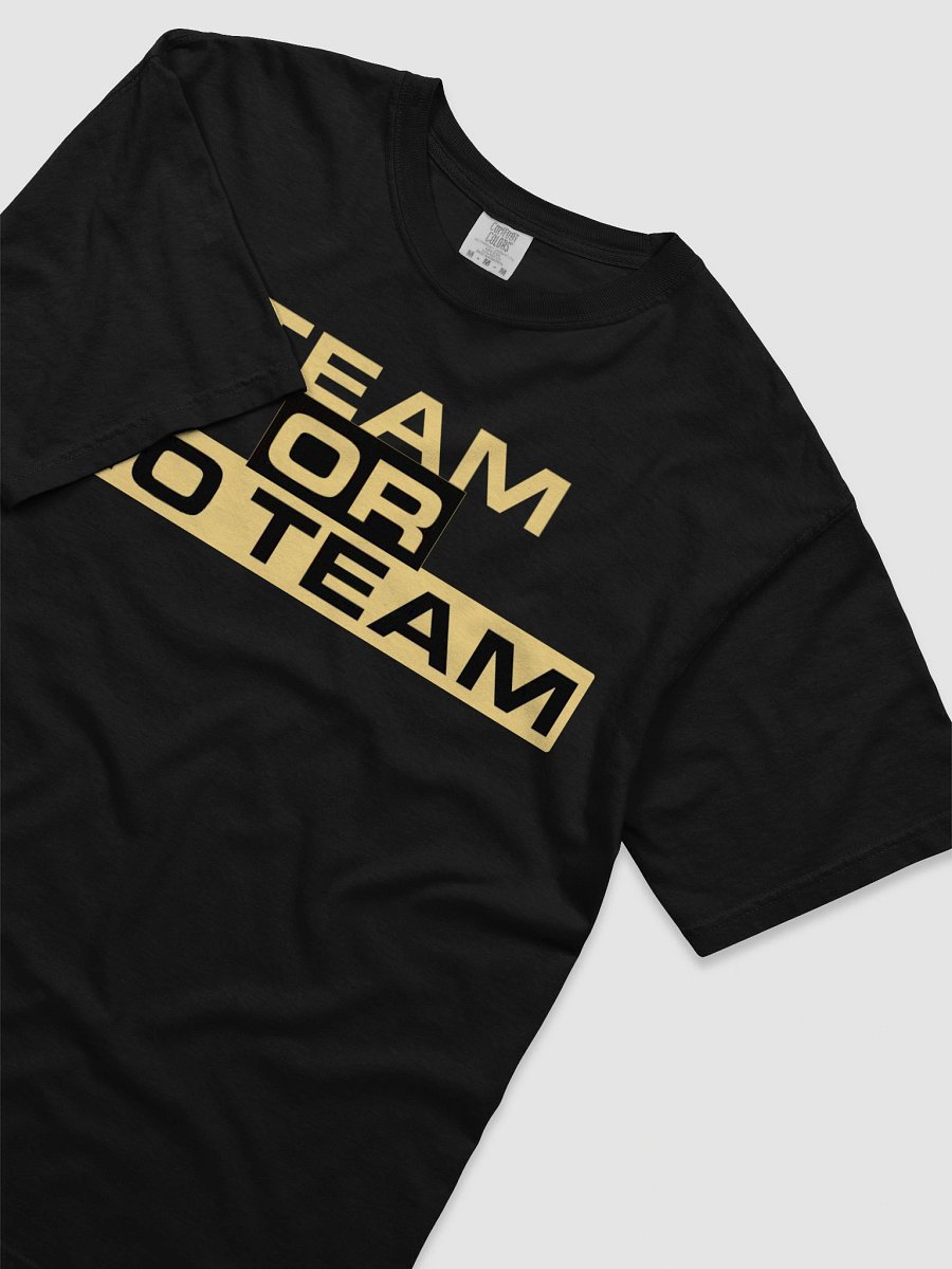 Team or No Team Shirt product image (3)