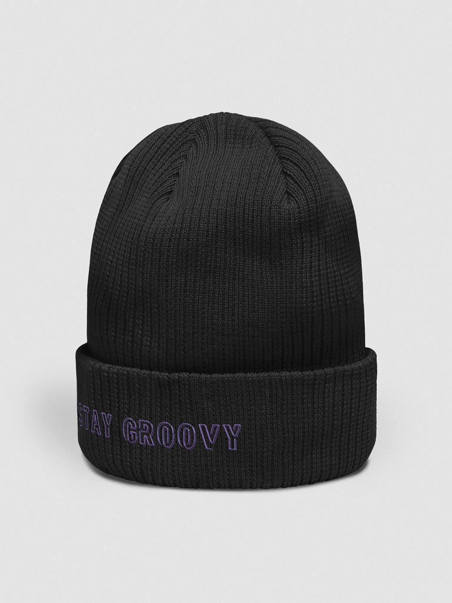 Vibez Stay Groovy Beanie product image (2)