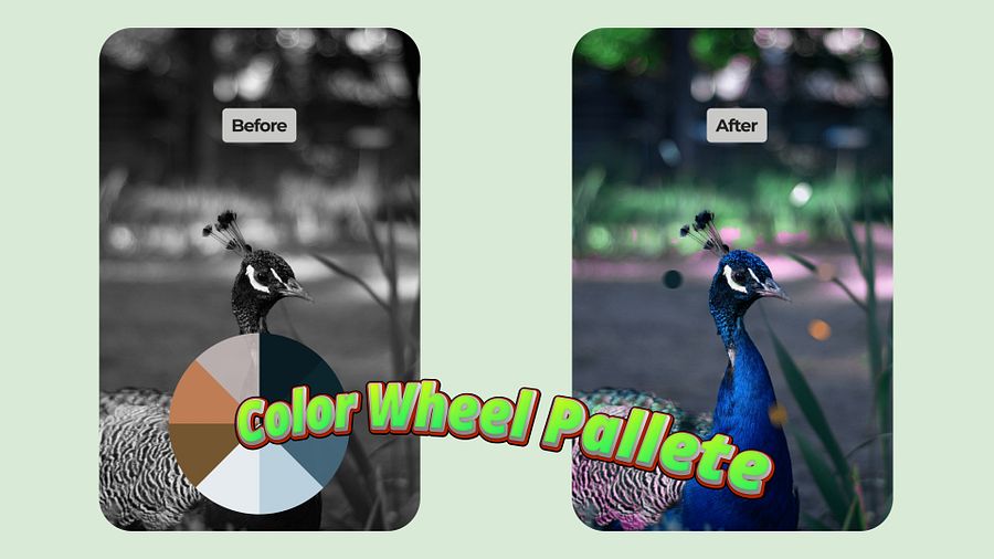 New Before/After Color Palette Templates product image (3)