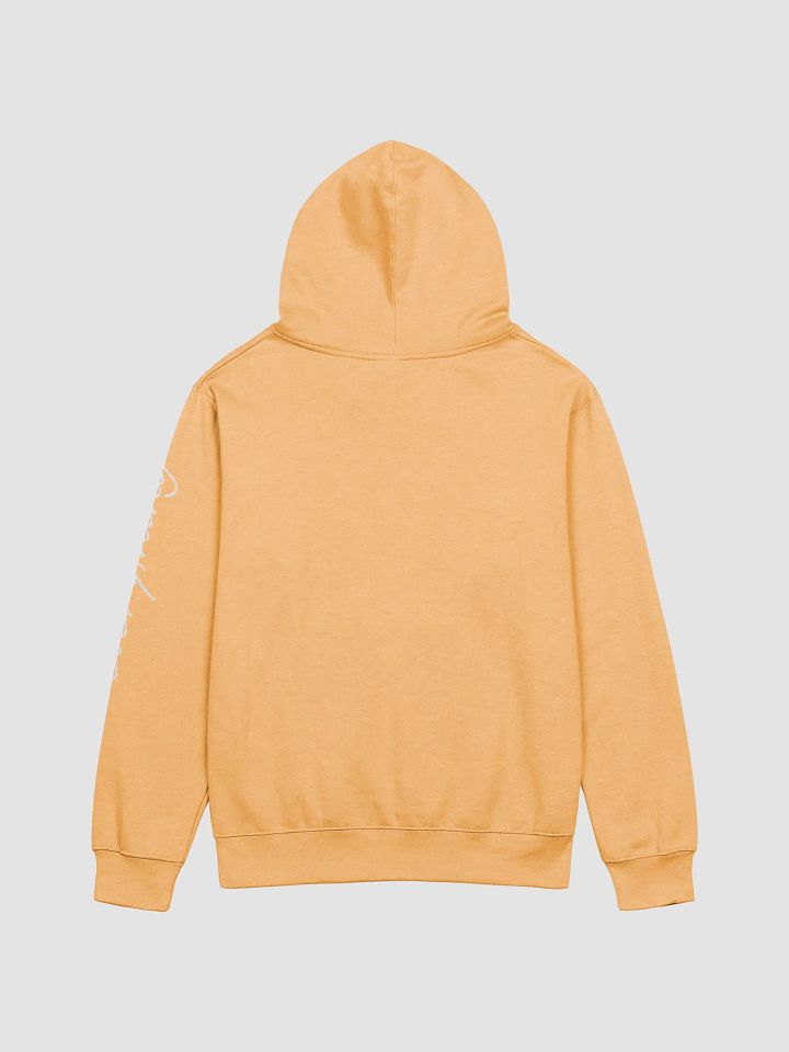 Classic R828 Block Hoodie product image (37)