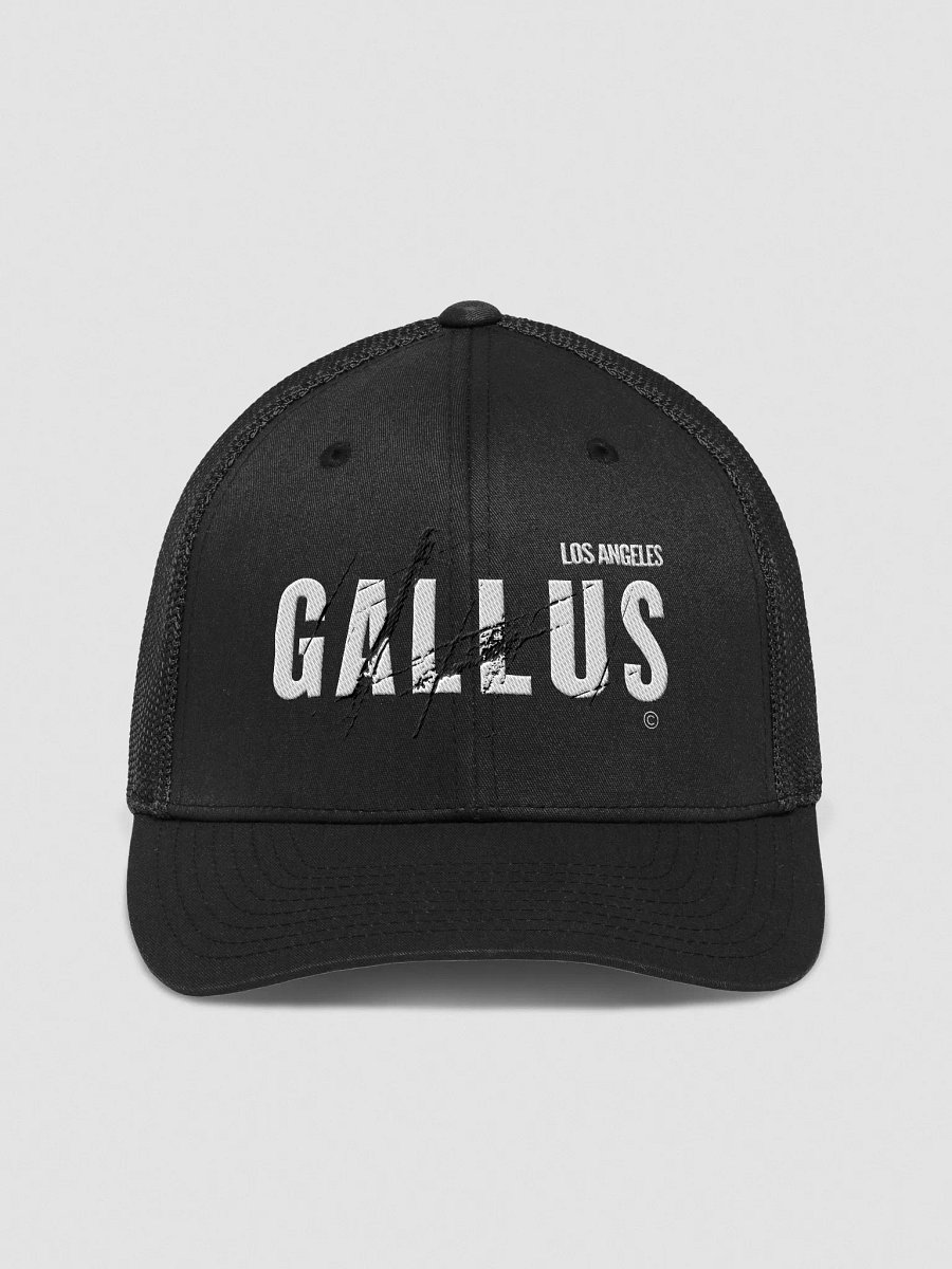 Born and Bred Los Angeles product image (1)