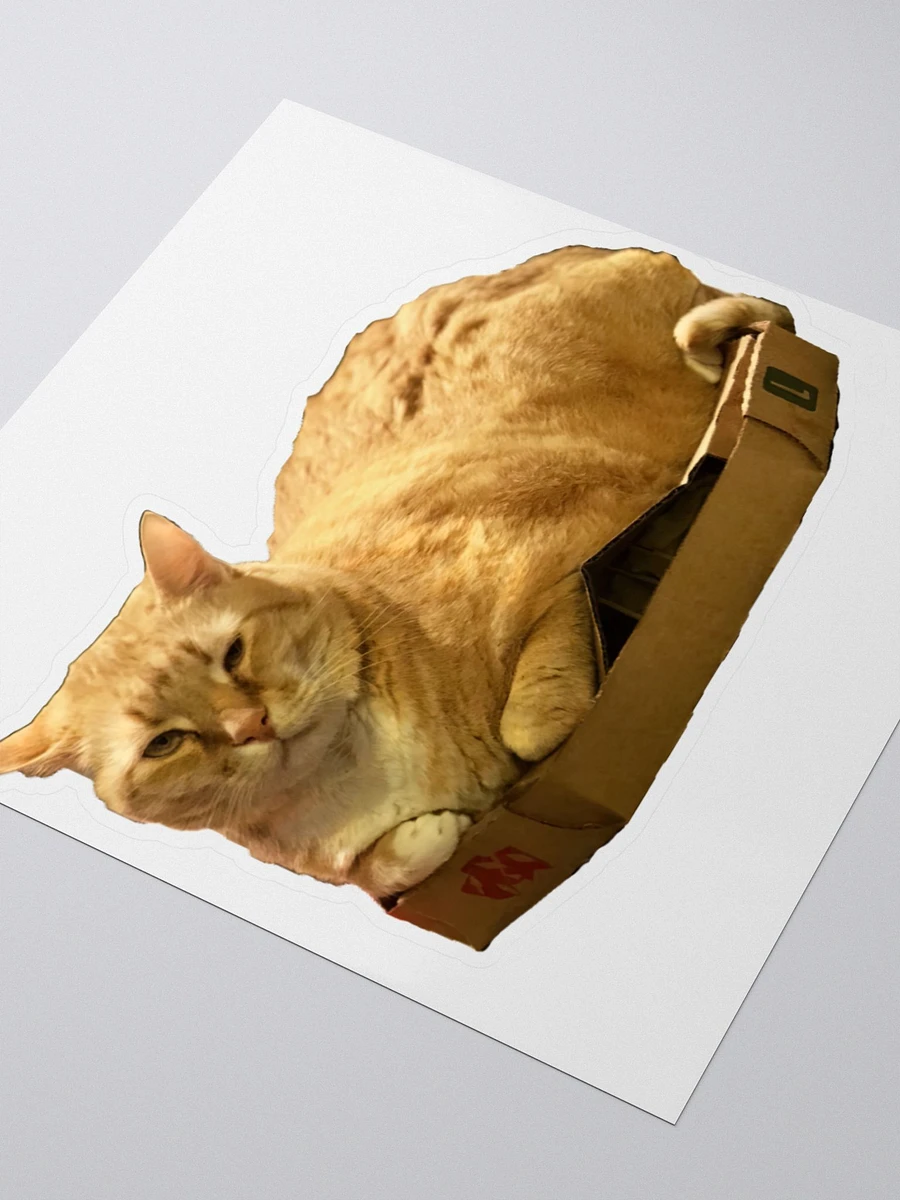 Colby in a box product image (3)