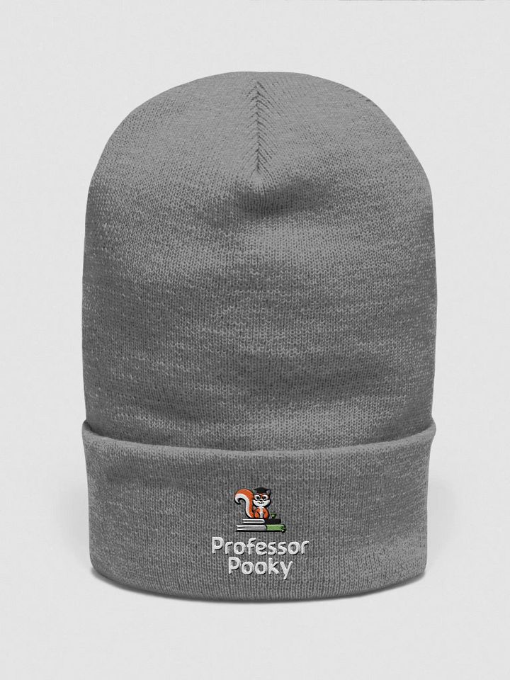 Professor Pooky's Academic Beanie product image (1)