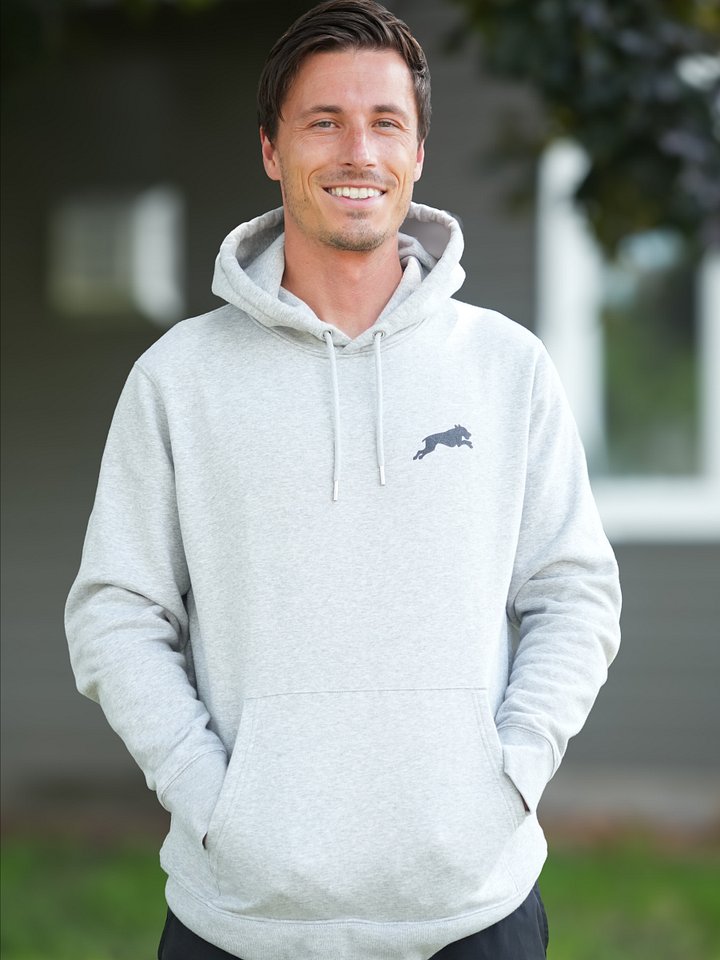 Grey Logo Hoodie product image (2)