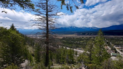 🏕️ Discover Redstreak Campground in Kootenay National Park! 🌄 

Nestled in the southern part of the park and overlooking the ...