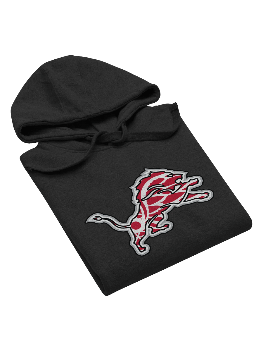 Winged Lion Hoodie product image (3)