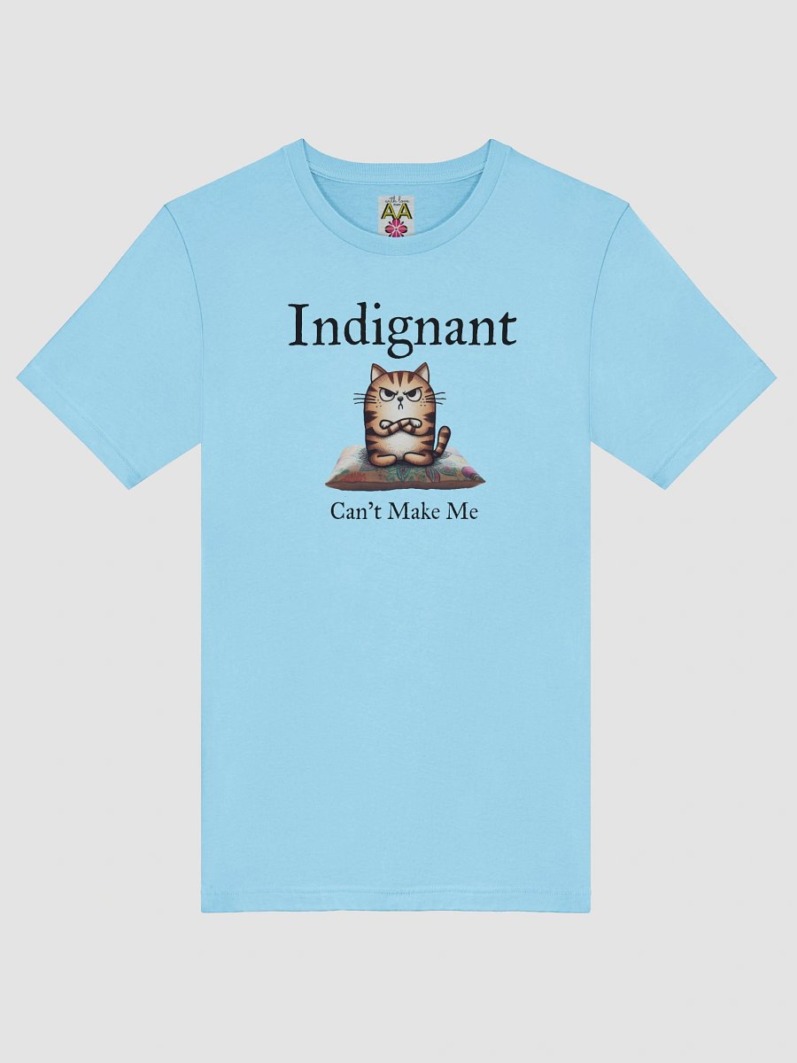 Indignant (Light / Ladies) Tee product image (41)