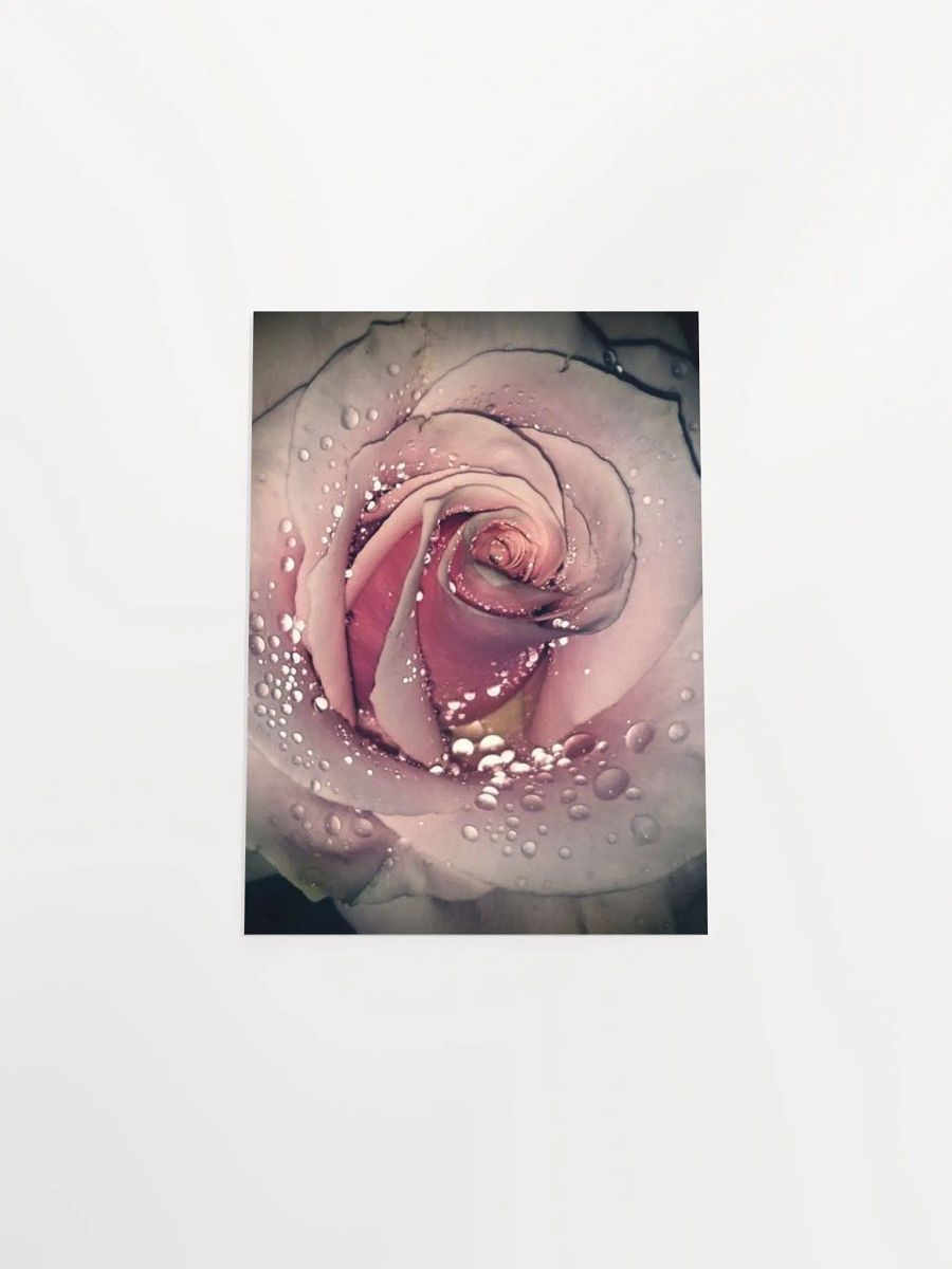 Rose product image (50)