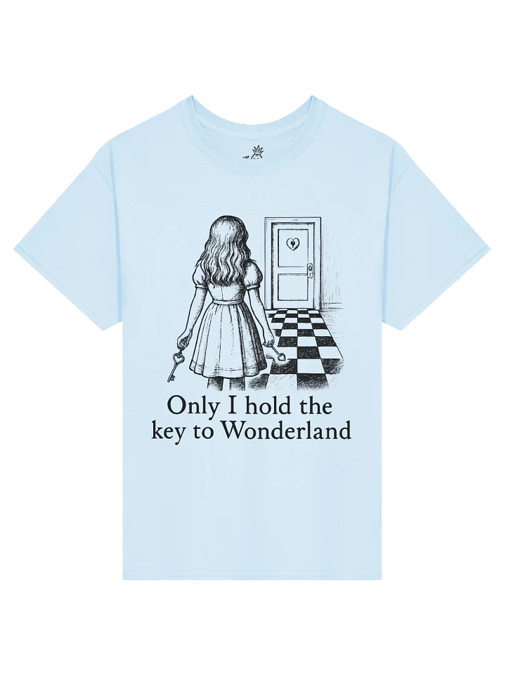 Golden Key Positive Self Affirmation Alice in Wonderland Boxy Fit Unisex T-Shirt product image (85)
