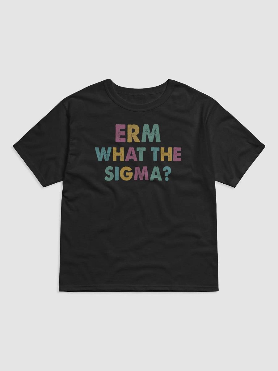 Erm, What the Sigma? - Funny T-Shirt product image (3)