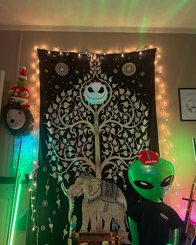 Got the house and stream room decorated (before thanksgiving, no less!) - come say hey, live now on Twitch!