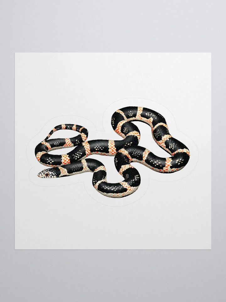 Die-Cut Sticker – Longnosed Snake product image (1)