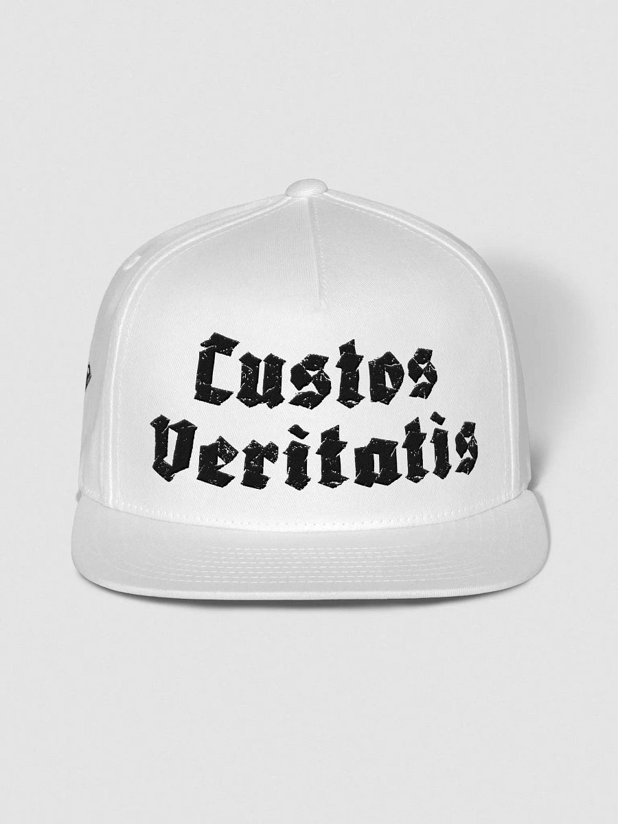 Ink Abyss Snapback Cap product image (2)