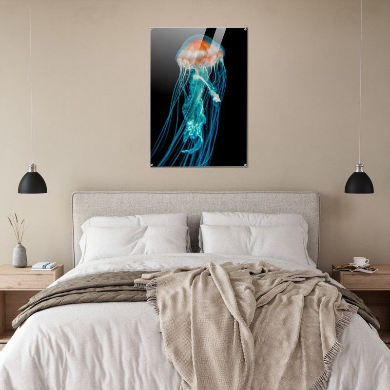 SINGLE JELLY FISH HIGH CONTRAST ACRYLIC PRINT product image (3)