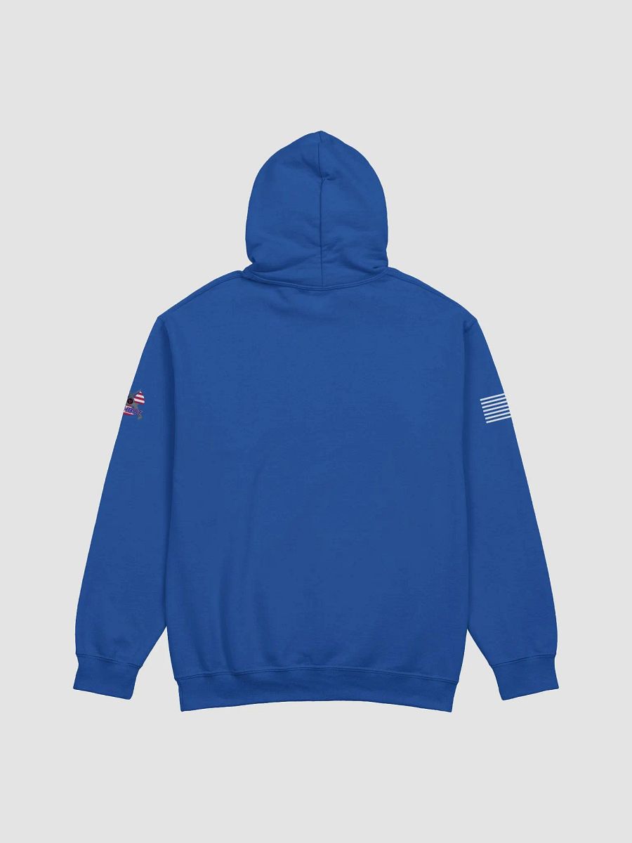 STARSHIP Gildan Classic Hoodie product image (42)