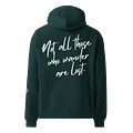 Not All Those Who Wander Are Lost Hoodie product image (1)