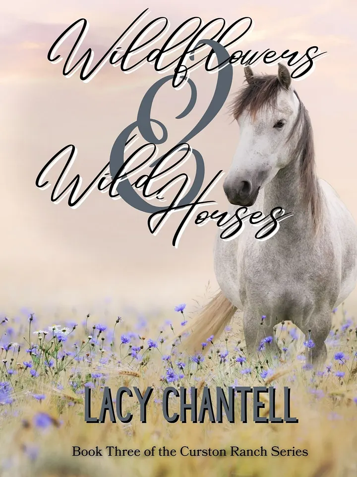 Imperfect Paperback of Wildflowers and Wild Horses product image (1)