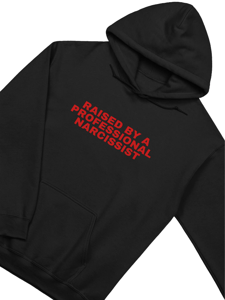 Raised By A Professional Narcissist Hoodie product image (2)