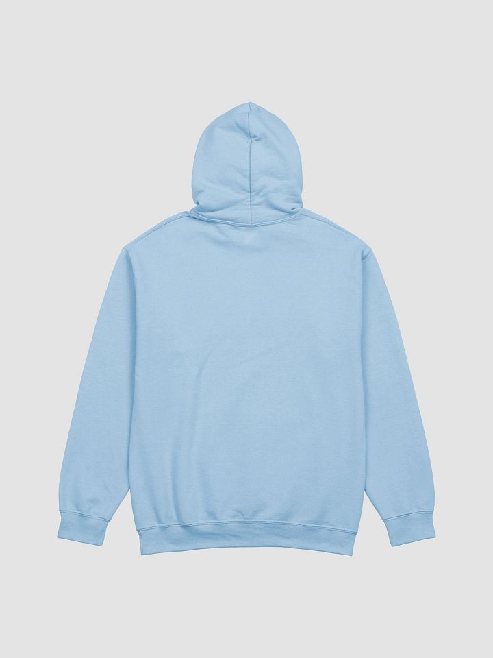 "YOU MUST SURVIVE" STAINED GLASS Hoodie w/ Prism product image (6)