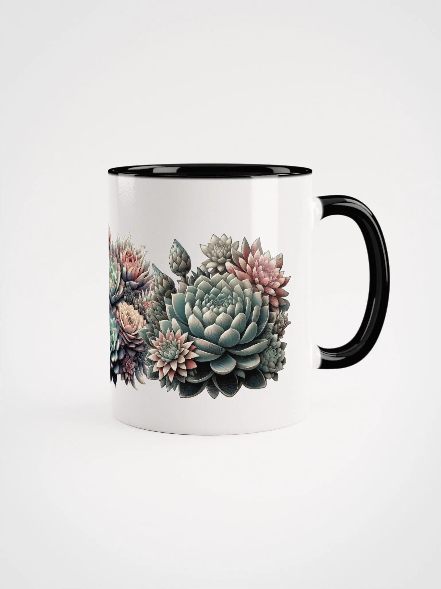 Succulents couleur/color product image (2)