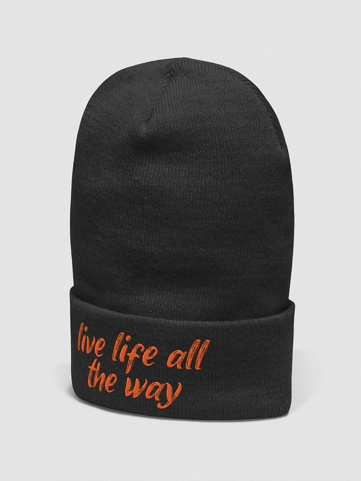 Live Life All The Way (REUNITED) - Embroidered Beanie product image (11)