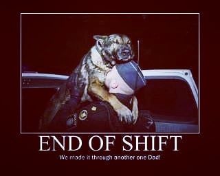 Who has the best partner in the world?
🐕❤️😎. K9 I think.
.
.
.
.
#k9 #workingdog #malinois #gsd #belgianmalinois #germansheph...