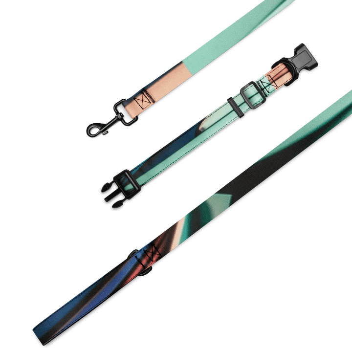 Harmonious Hues Pet Collar & Leash Set product image (2)