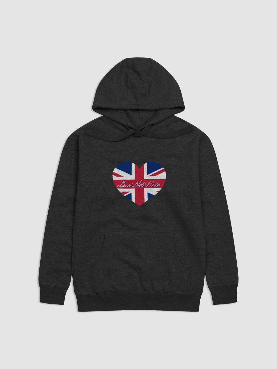 Love Not Hate Hoodie product image (2)