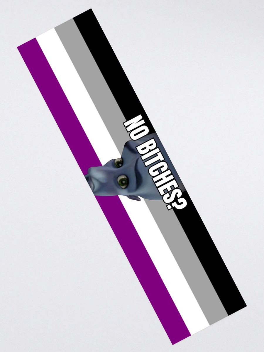 No Bitches? Funny Ace Sticker product image (4)