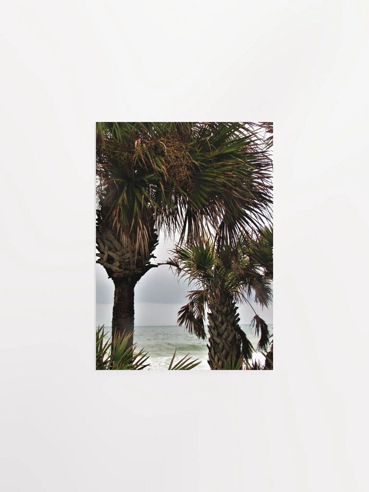 Ormond Beach 3 product image (3)