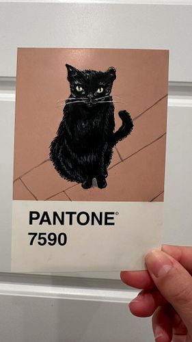 🐈‍⬛ Black Cat Pantone Acrylic Paint.

If you are interested in using these paints/art supplies use my code SARAH127 for 15% o...