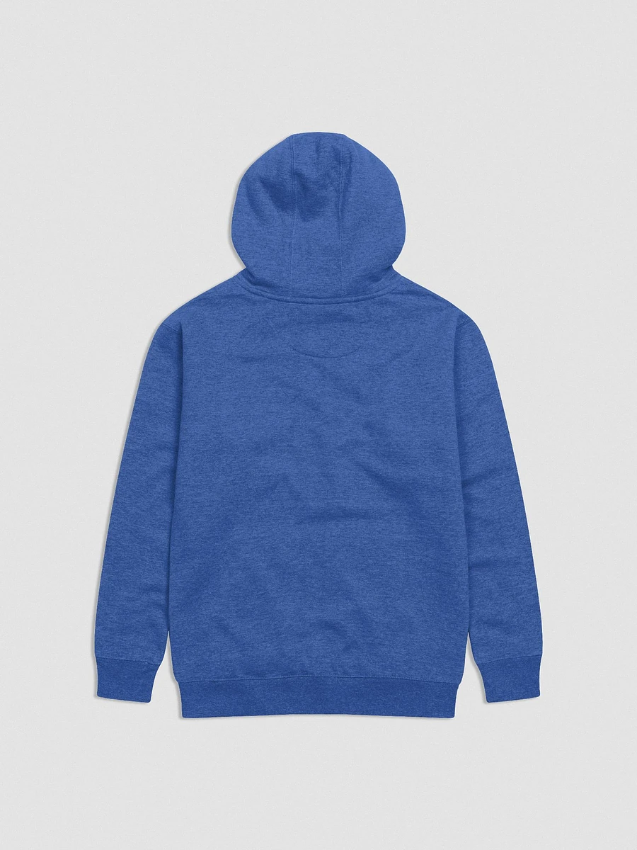 Dreaming of SSR MKII - Embroidered Hoodie product image (4)