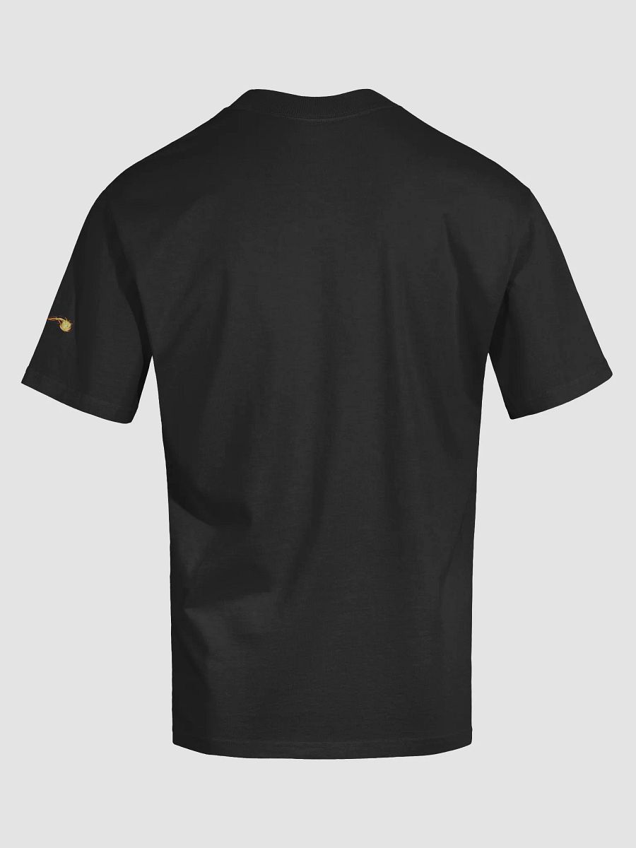 CBMOON "Egypt" OVERSIZED t-shirt product image (11)