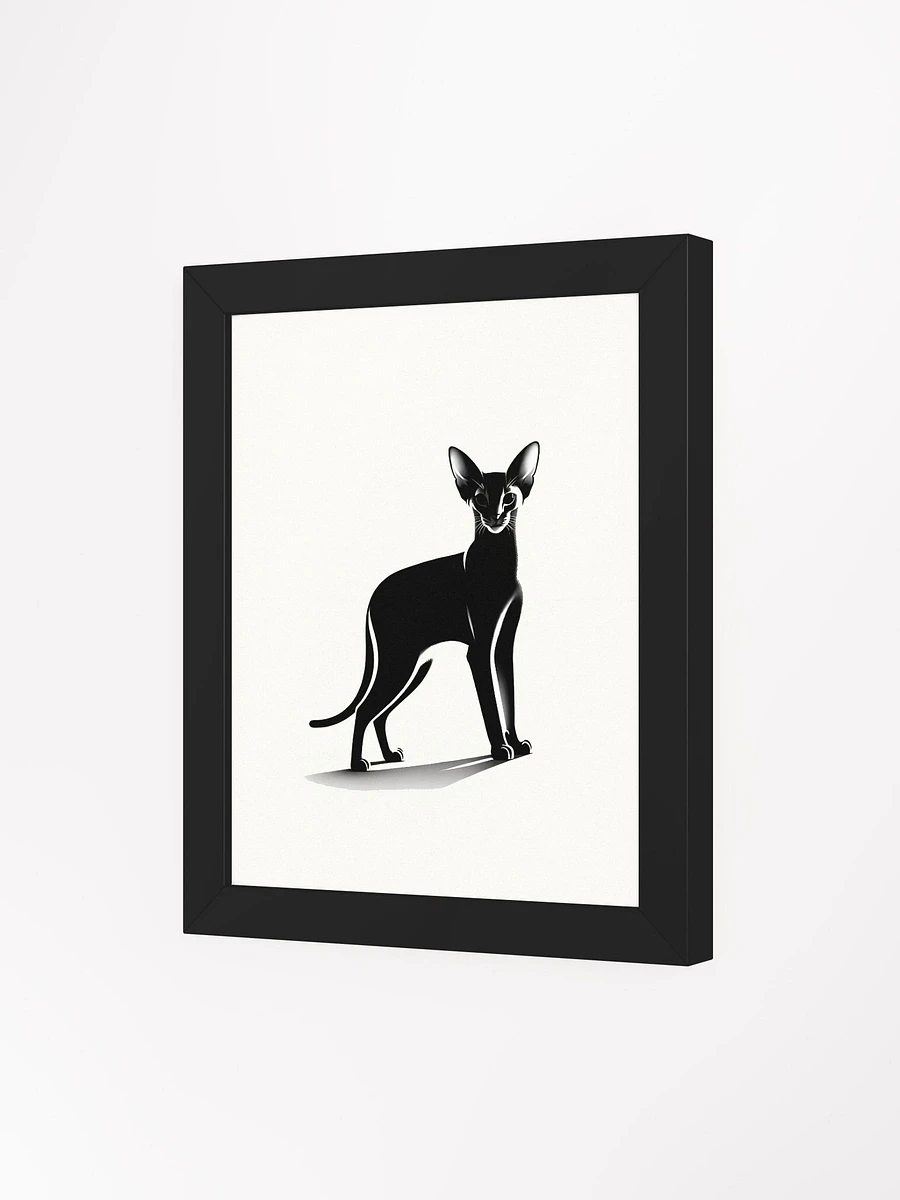 Framed High-Quality Matte Poster (in): Abyssinian product image (3)