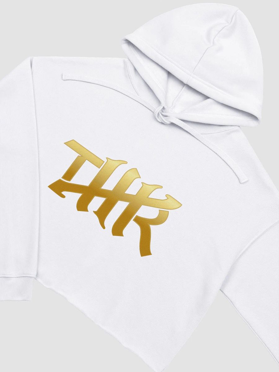 TMR Logo Crop Hoodie product image (18)